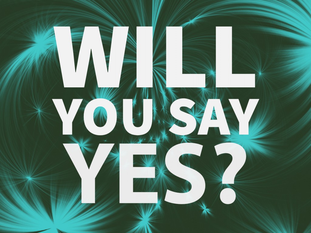 Will You Say Yes?