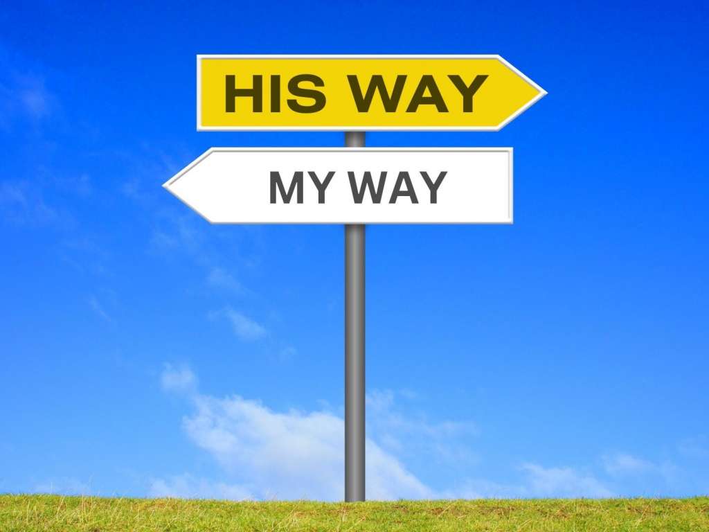 His Way My Way