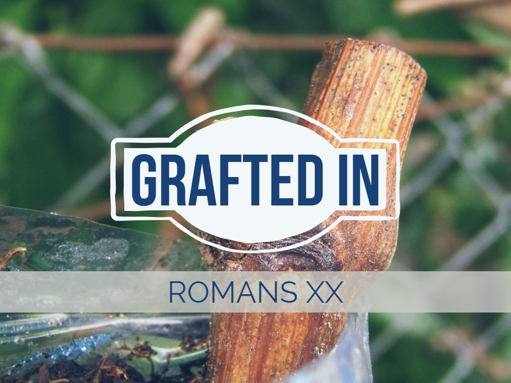 Romans XX - Grafted In