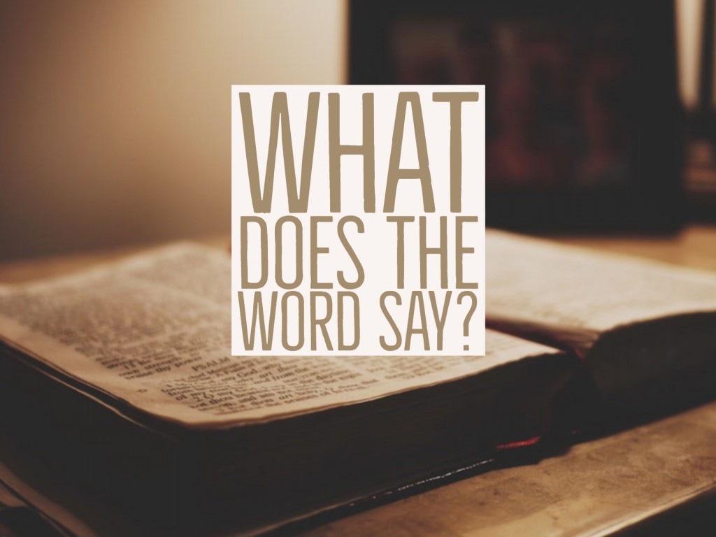 What Does the Word Say?
