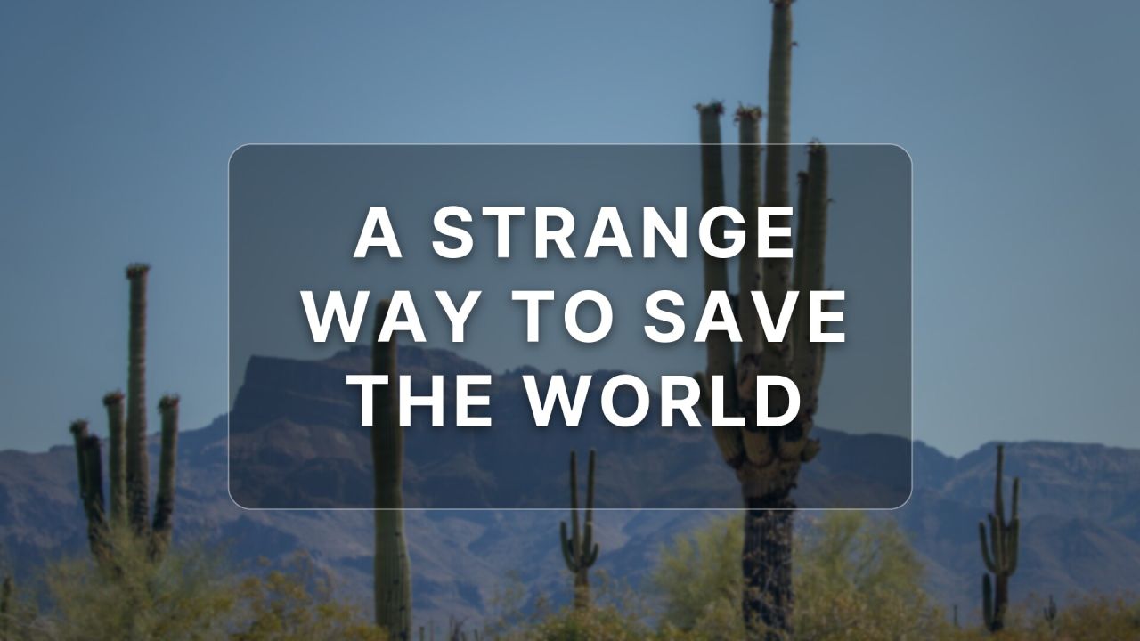 A Strange Way To Save The World